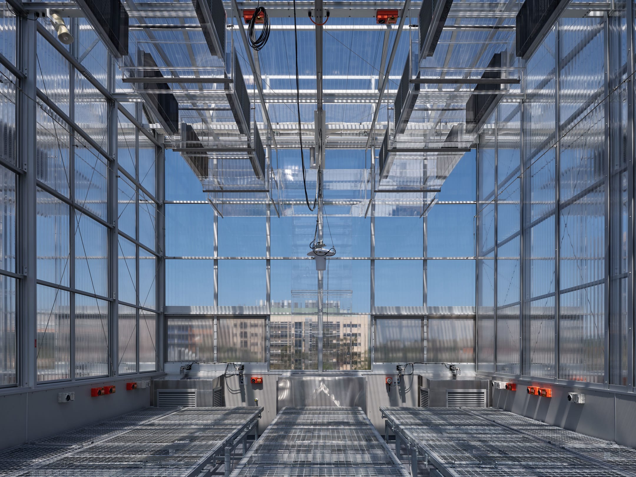 Interior of modern greenhouse with polycarbonate panels, metal framework, grow tables, and city skyline visible through glass walls.