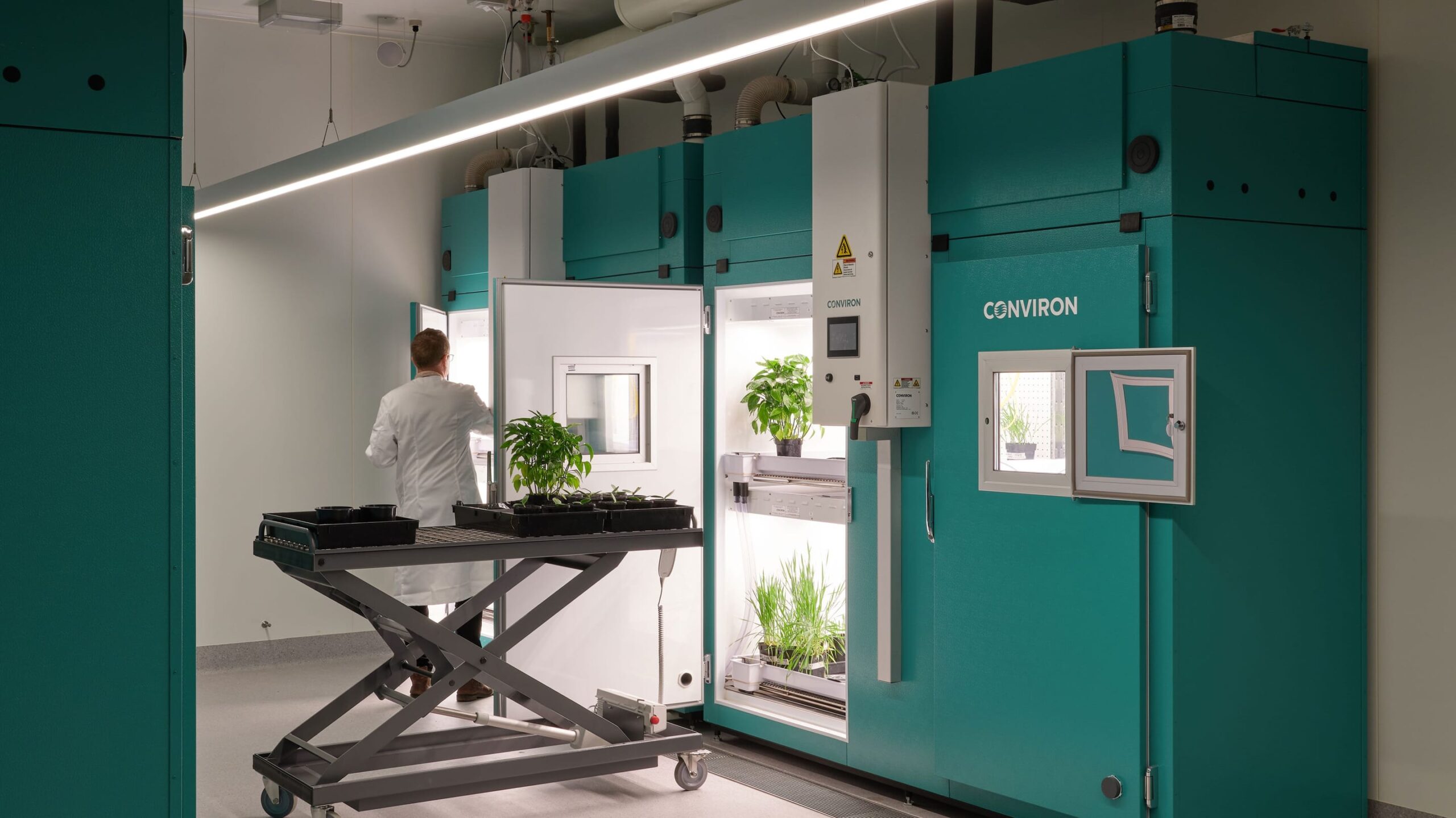 Laboratory technician working with plants inside Conviron growth chambers in a controlled environment facility.